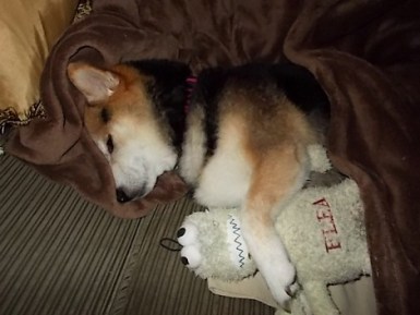 1016354_10203281388854322_1858963595_n